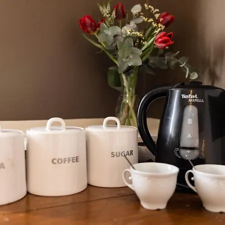 托比斯先生酒店 *