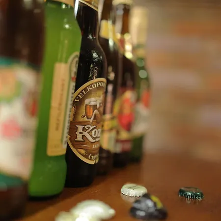 Auberge de jeunesse Sir Toby's *